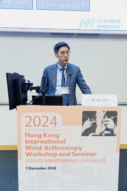 HK Wrist Course 2024- Seminar  - 160 of 257